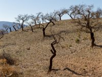 Sierra Nevada : Europa, Reisen, Sierra Nevada, Spanje, europa
